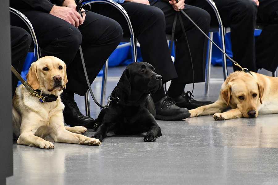 Freya Indigo and Heide during graduation
