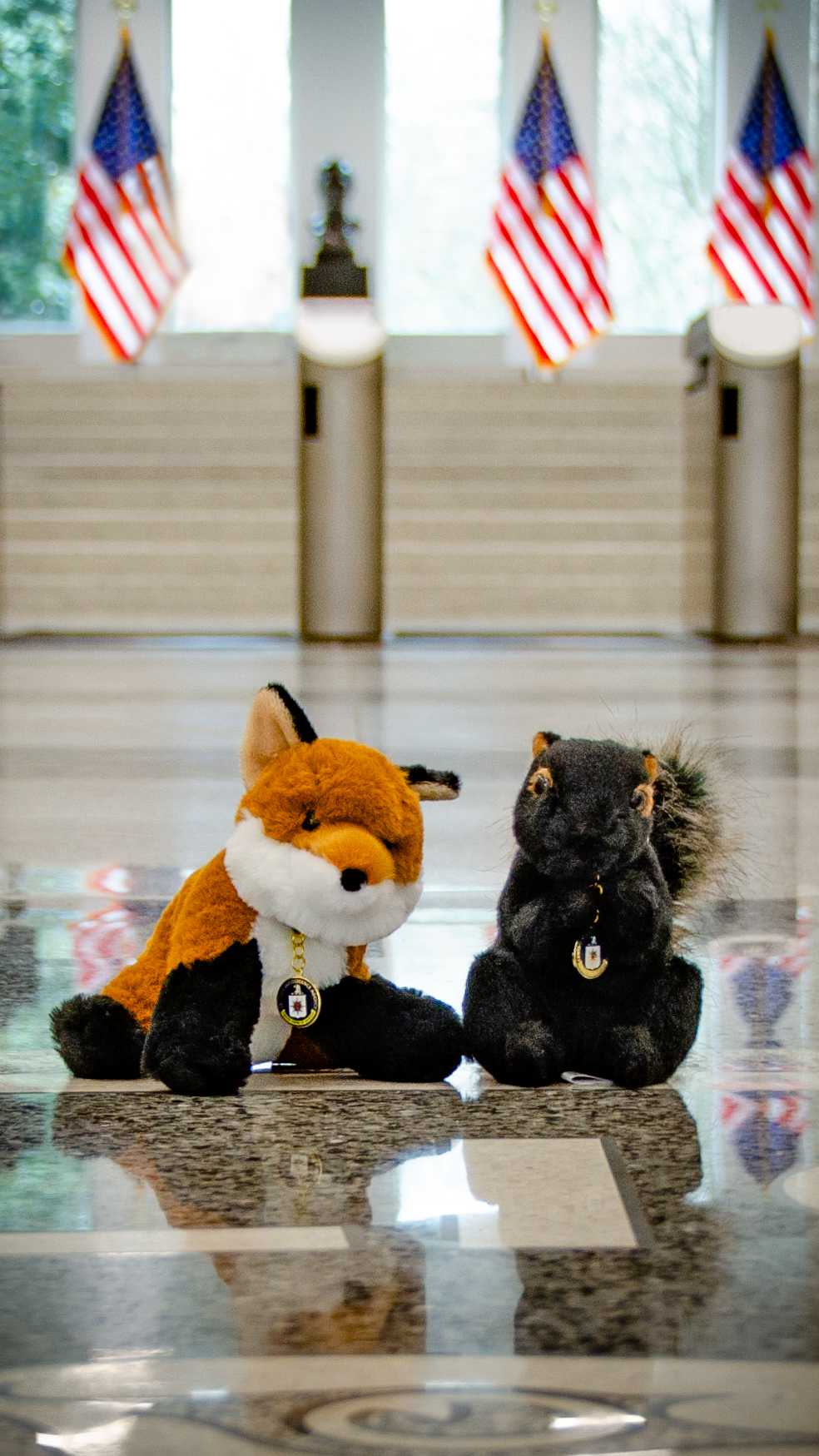 Mischief the sly fox and Secret squirrel