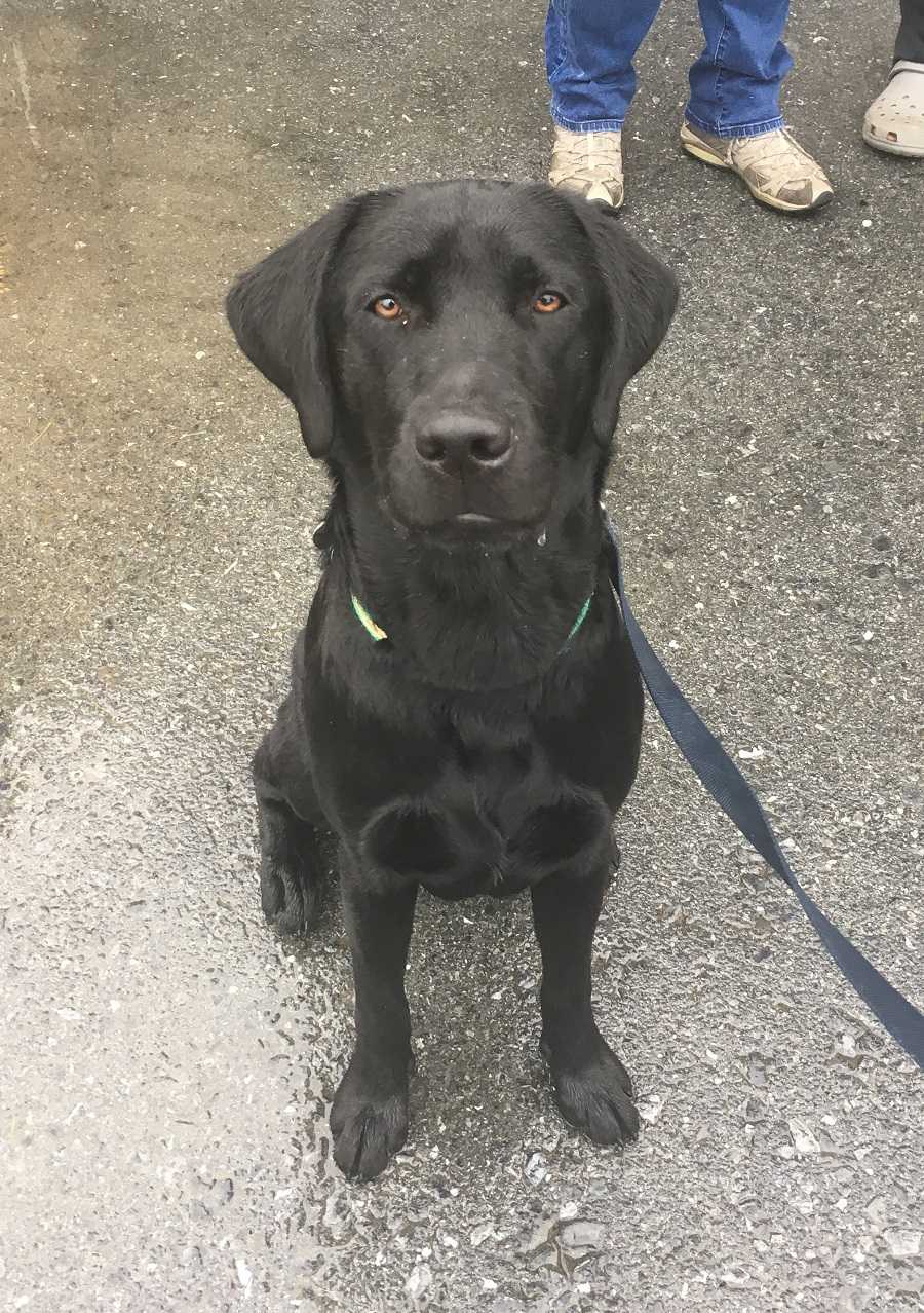 Meet Harry