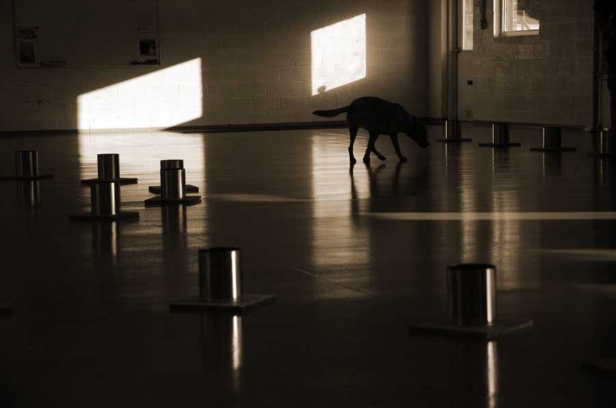 Heide at the training center