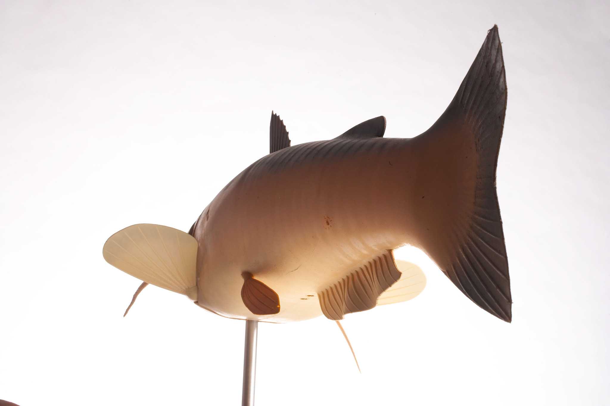 Charlie the robotic catfish