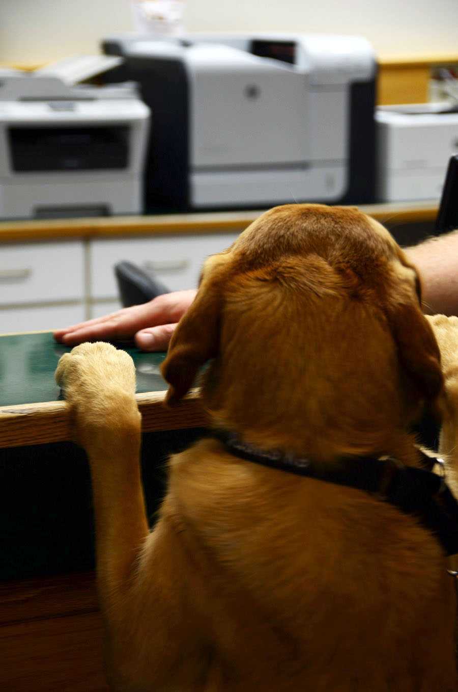 Nicole at the receptionist counter