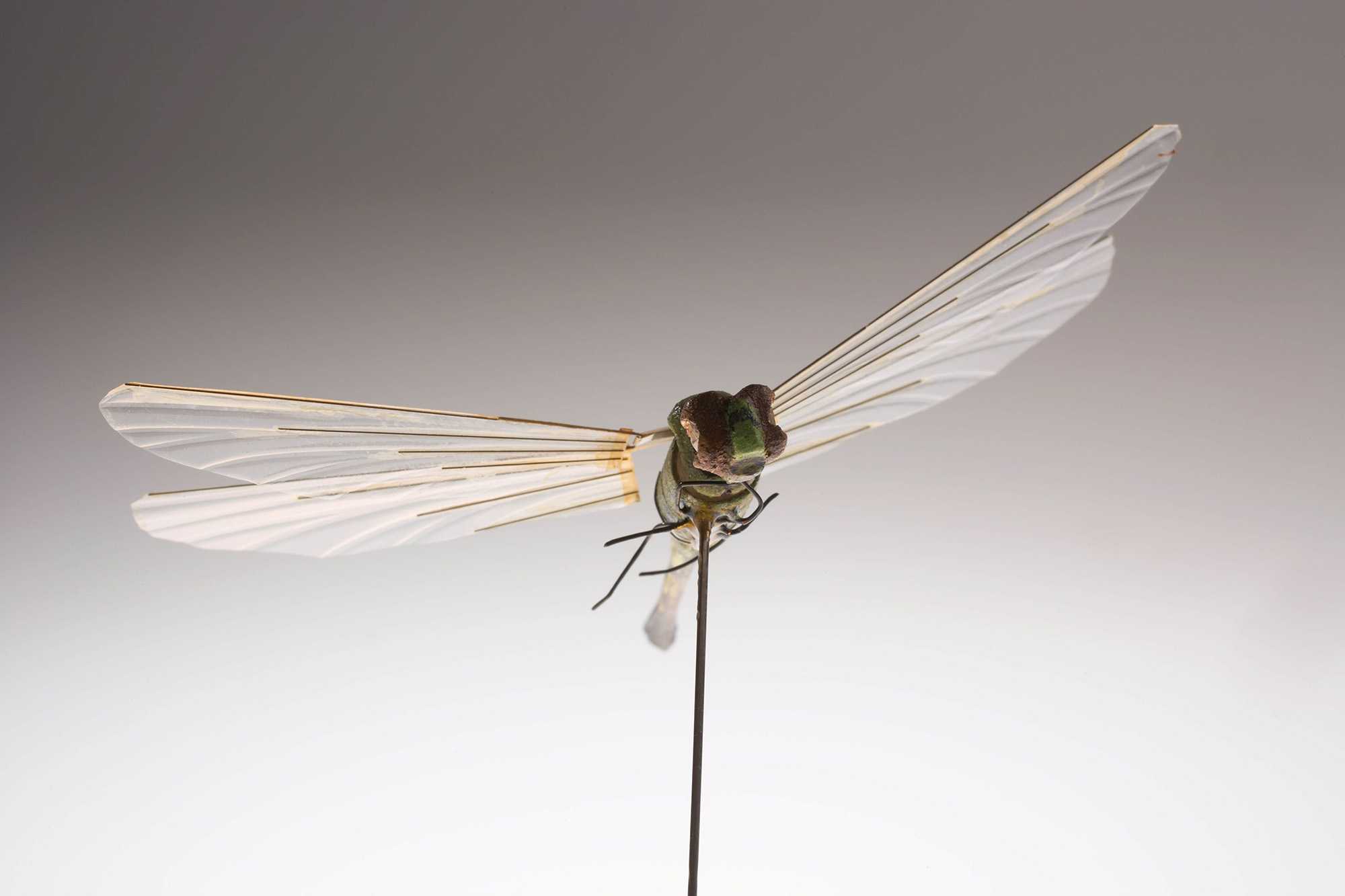 A different view of the Insectothopter