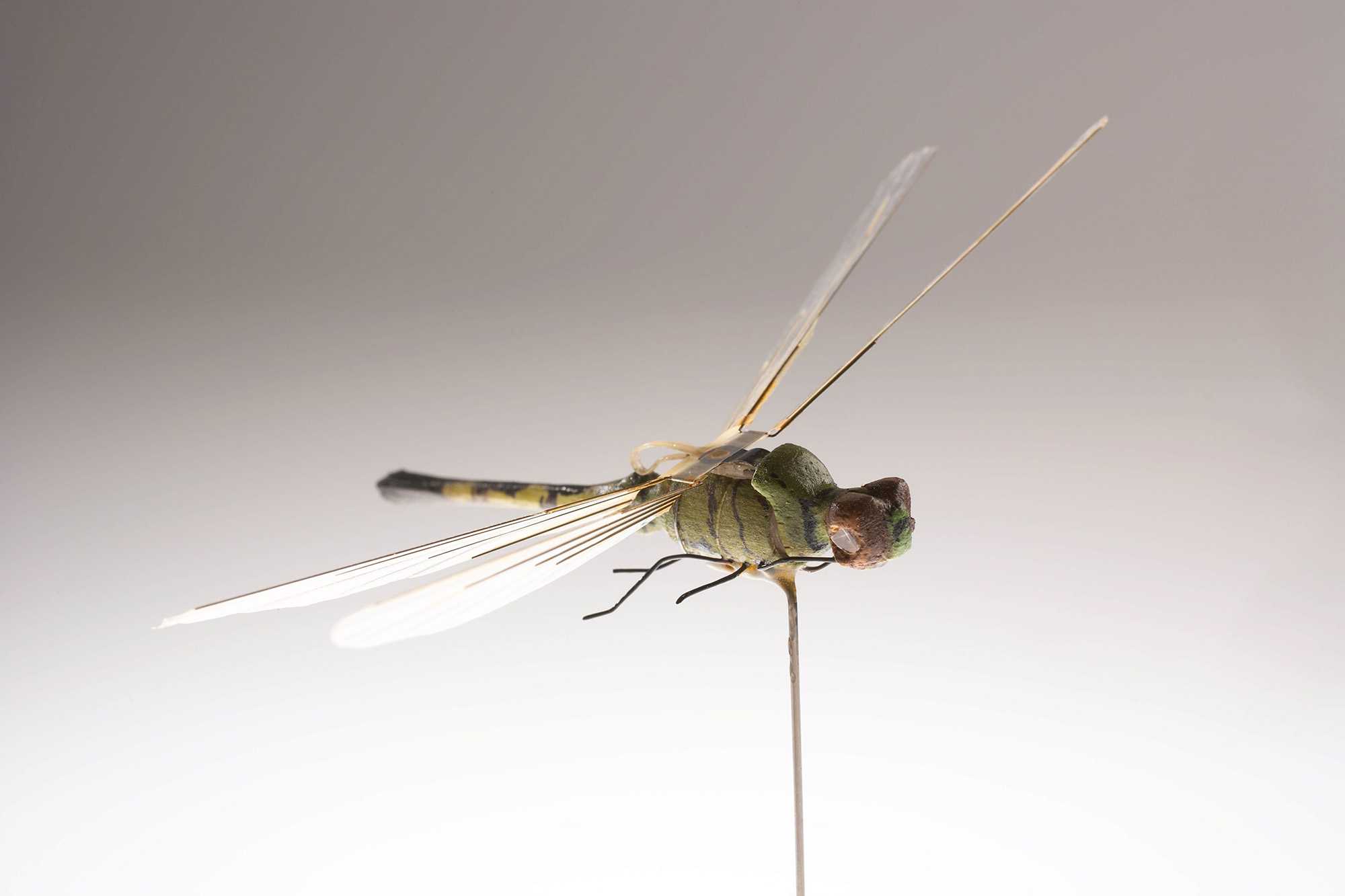 A different view of the Insectothopter