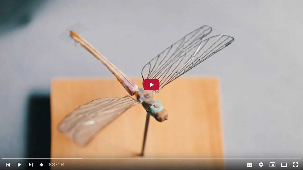 The Debrief - Insectothopter