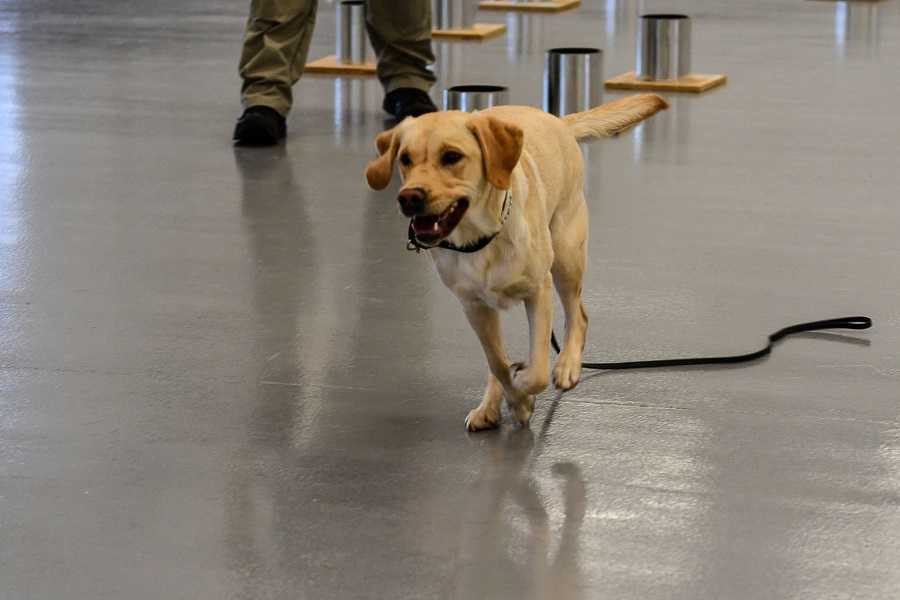 Freya at the training center