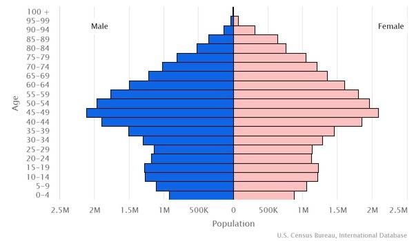 2022 population pyramid