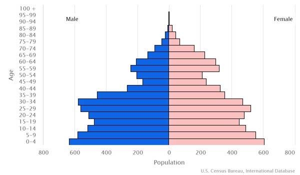 2022 population pyramid