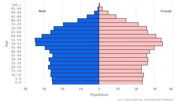 2022 population pyramid
