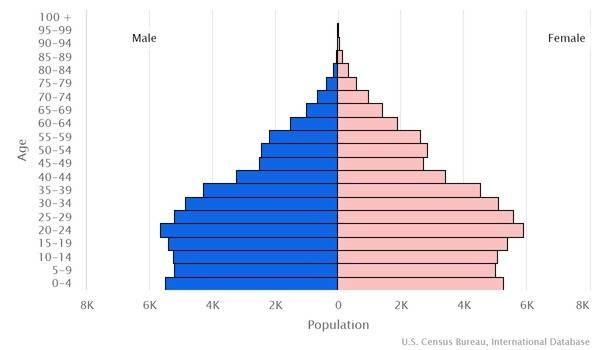 2022 population pyramid