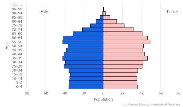 2022 population pyramid