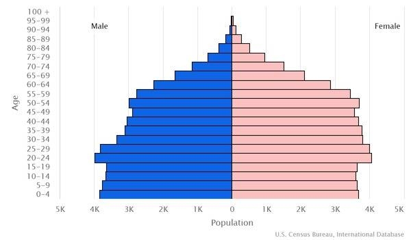 2022 population pyramid