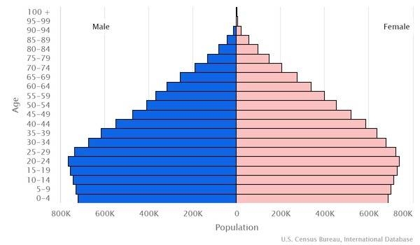 2022 population pyramid