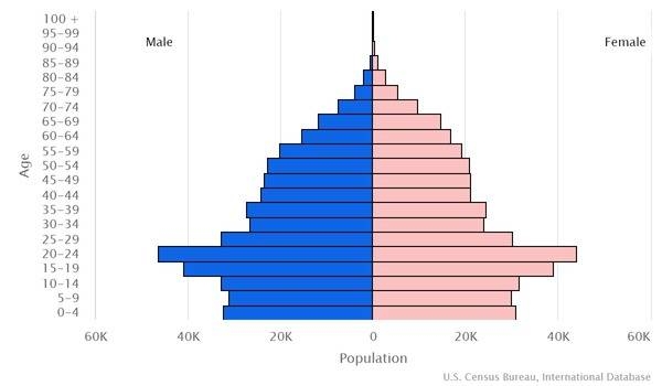 2022 population pyramid
