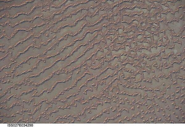 The Ar Rub al Khali (Great Sandy Desert) lies in the southern Arabian Peninsula. Also known as the "Empty Quarter," it is a large region of sand dunes and interdune flats known as a sand sea (or erg). This photo, taken from the International Space Station, highlights a part of the Ar Rub al Khali located close to its southeastern margin in the Sultanate of Oman. Reddish-brown, large, linear sand dunes alternate with blue-gray interdune salt flats known as sabkhas at left. The major trend of the linear dunes is transverse to northwesterly trade winds that originate in Iraq (known as the Shamal winds). Formation of secondary barchan (crescent-shaped) and star dunes (dune crests in several directions originating from a single point, looking somewhat like a starfish from above) on the linear dunes is supported by southwesterly winds that occur during the monsoon season (Khareef winds). The long linear dunes begin to break up into isolated large star dunes to the northeast and east (right). This is likely a result of both wind pattern interactions and changes in the sand supply to the dunes.
The Empty Quarter covers much of the south-central portion of the Arabian Peninsula, and with an area of approximately 660,000 sq km (255,000 sq mi) it is the largest continuous sand desert on Earth. The Empty Quarter's hyperarid climate and the difficulty of travel through the dunes has not encouraged permanent settlement within the region. There is geological and archeological evidence, however, to support cooler and wetter past climates in the region together with human settlement. This evidence includes exposed lakebed sediments, scattered stone tools, and the fossils of hippopotamus, water buffalo, and long-horned cattle. Image courtesy of NASA.