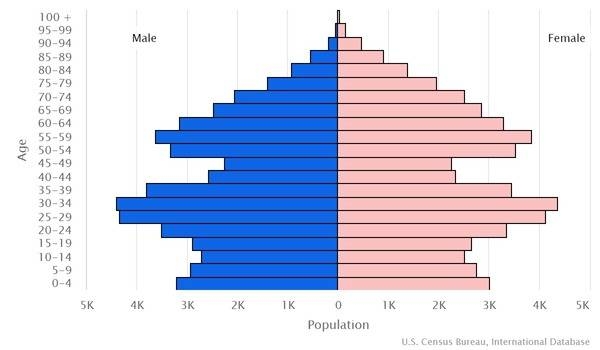 2022 population pyramid