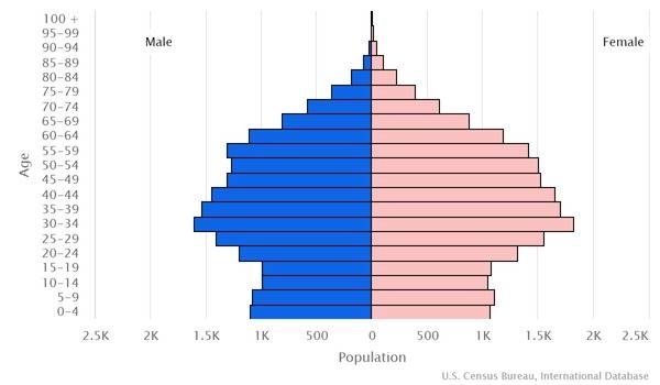 2022 population pyramid