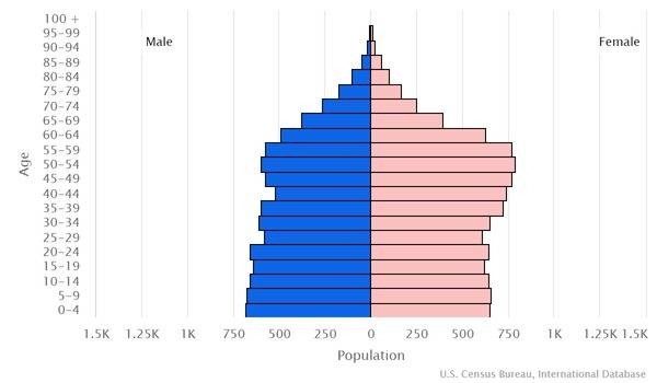 2022 population pyramid
