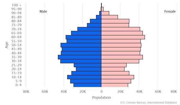 2022 population pyramid