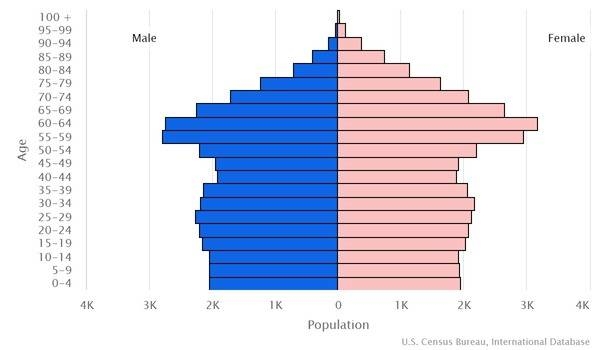 2022 population pyramid