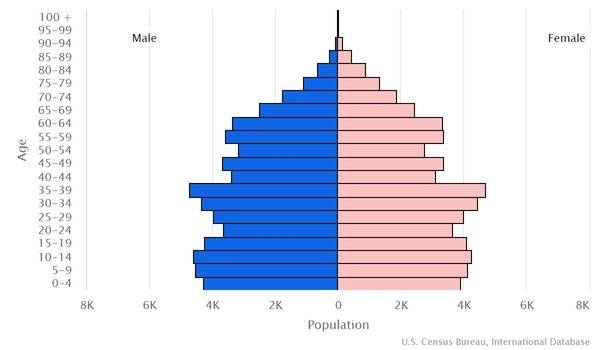 2022 population pyramid