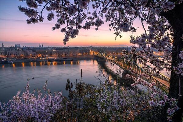 Szabadsad hid (Liberty or Freedom Bridge) in Budapest, connects Buda and Pest across the Danube River. It is the third southernmost public road bridge in Budapest, located at the southern end of the city center. At its two ends are public squares, Gellert Ter and Fovam Ter. The bridge was originally built as part of the Millennium World Exhibition, held at the end of the 19th century.
