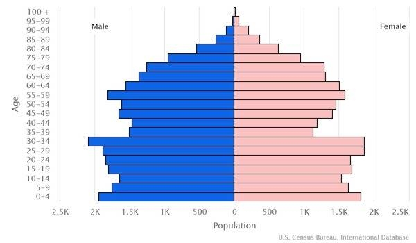 2022 population pyramid