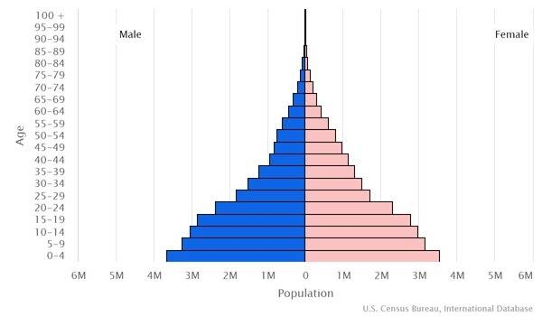 2022 population pyramid