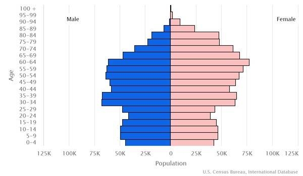 2022 population pyramid
