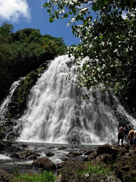 Keprohi (Kepirohi) Waterfall. Fresh-water eels frequent the pool at the bottom of the falls. Photo courtesy of NOAA / Lt. Cmdr. Matthew Wingate.