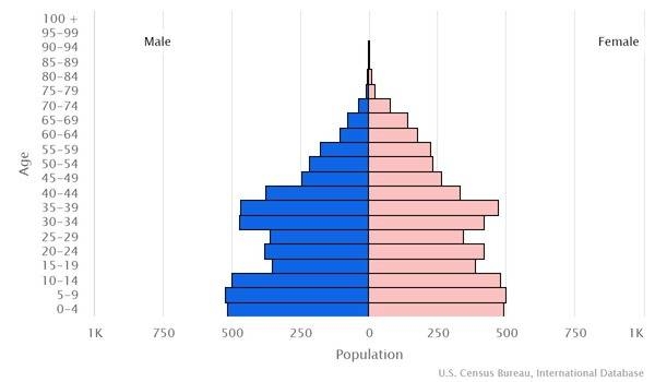 2022 population pyramid