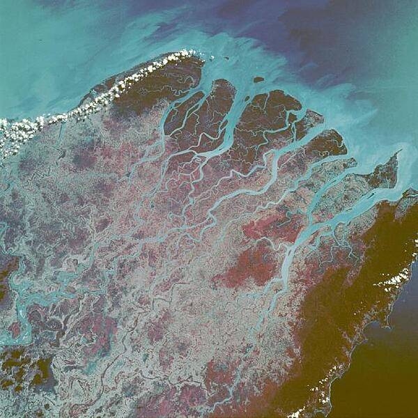 Infrared film helps accentuate plant growth and sediment accumulations in this near-vertical photograph of the numerous mouths of the Irrawaddy River in western Burma. The Irrawaddy Delta, one of the world's great rice-producing regions, consists of fertile river mud and sand deposited during the last 2 million years. The deep reds and violets at the southern end of the multichanneled delta (top of photo) reflect large mangrove forests. The light blues show the sediment plumes within the stream channels extending southward into the Andaman Sea. Image courtesy of NASA.