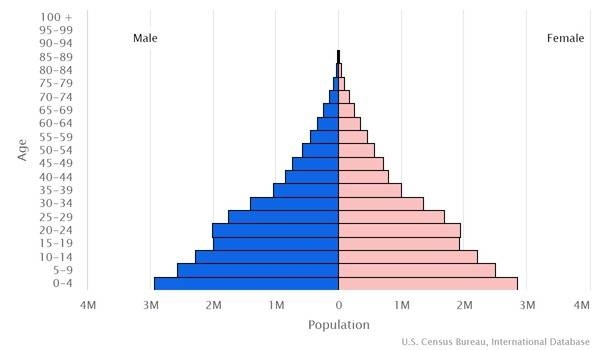 2022 population pyramid