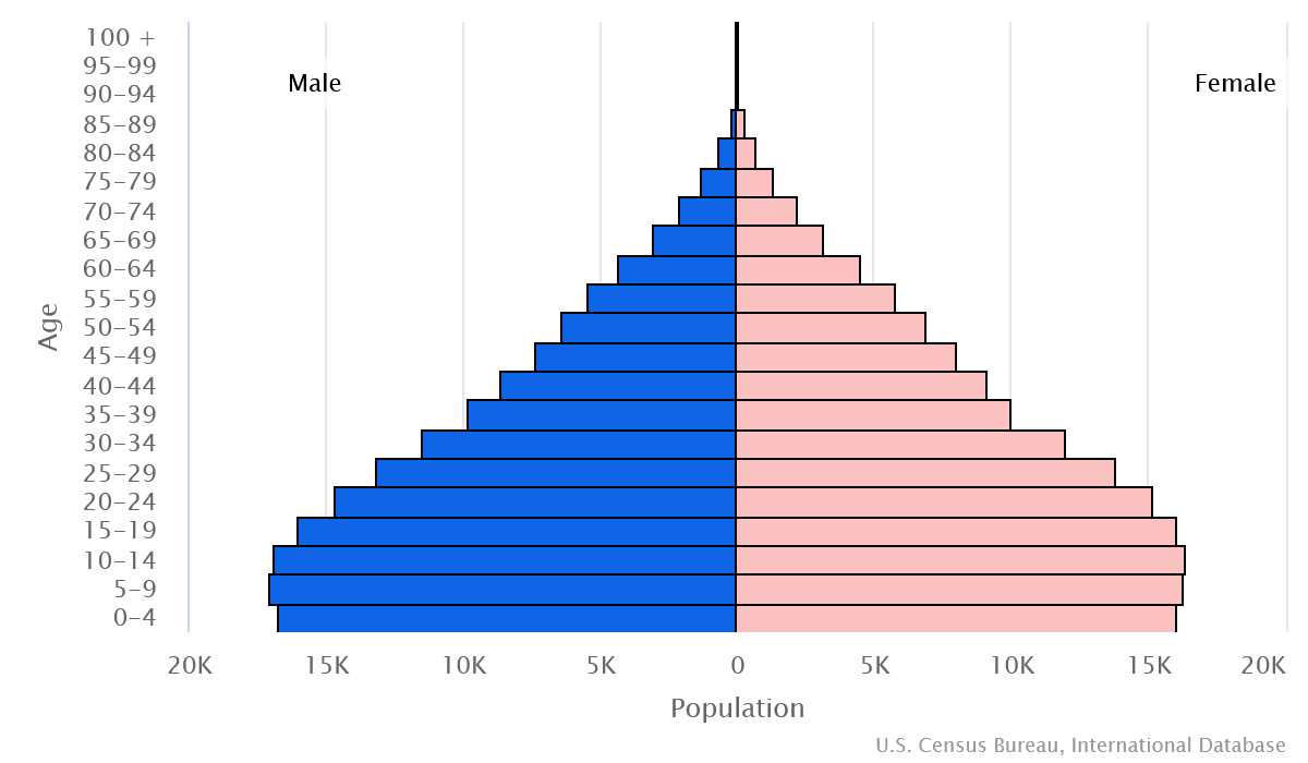 2023 population pyramid