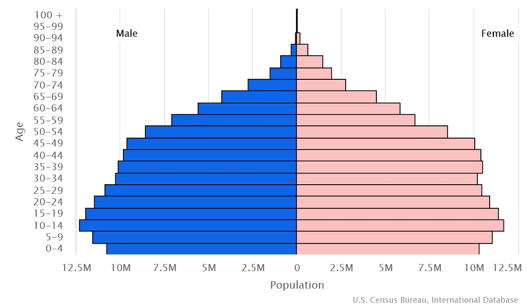 2023 population pyramid