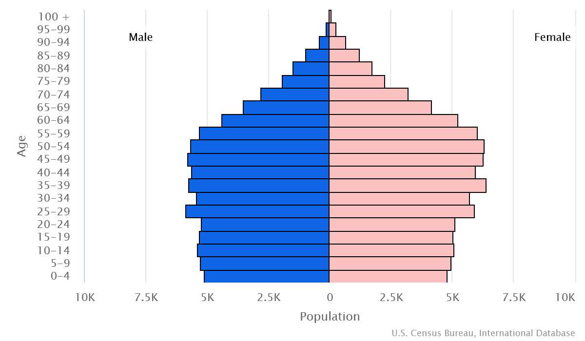 2023 population pyramid