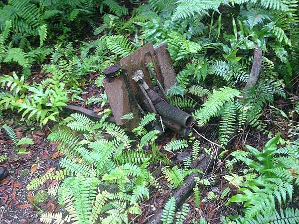 War debris along the Battle of Peleliu Jungle Trail.