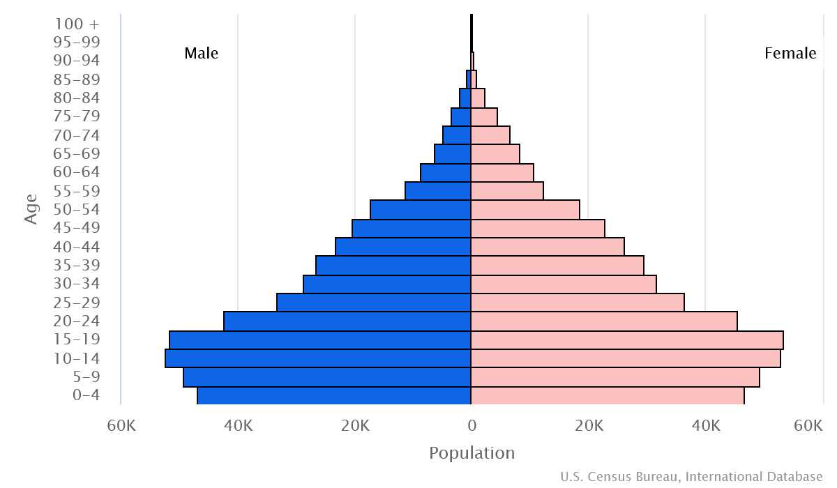 2023 population pyramid