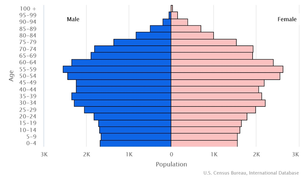 2023 population pyramid