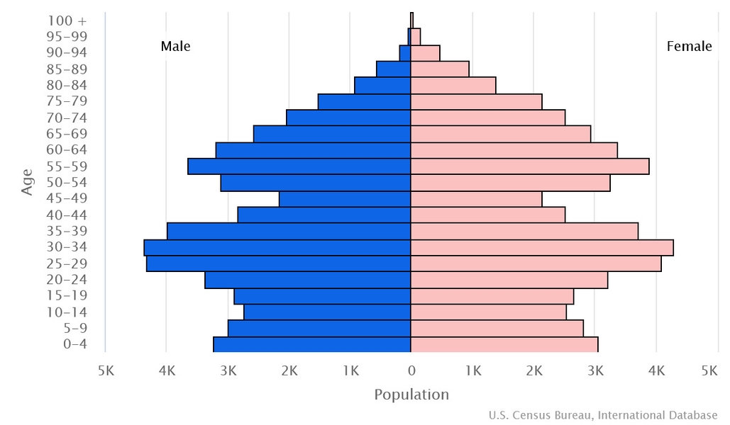 2023 population pyramid