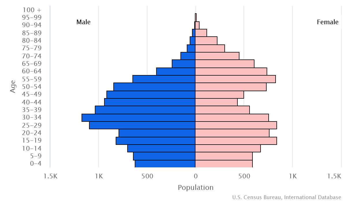 2023 population pyramid