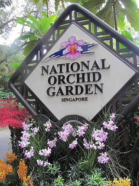 The National Orchid Garden in Singapore is inside the 74-hectare (183-acre) Singapore Botanic Gardens, which were founded in 1859.