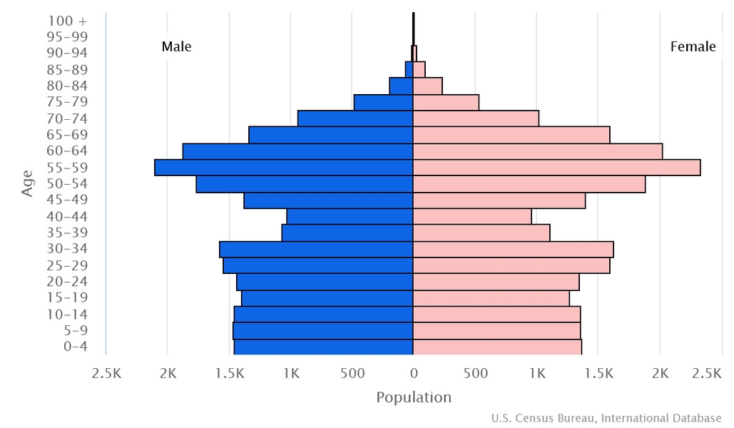 2023 population pyramid