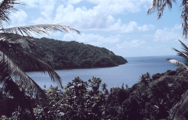 A view of Man-of-War Bay in Charlottesville, along the northern shore of Tobago. Photo courtesy of NOAA / Anthony R. Picciolo.