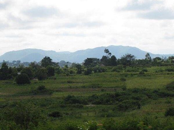 Mount Elgon is an extinct shield volcano on Uganda's border with Kenya. Two national parks, one on each side of the border, protect the area around the mountain.