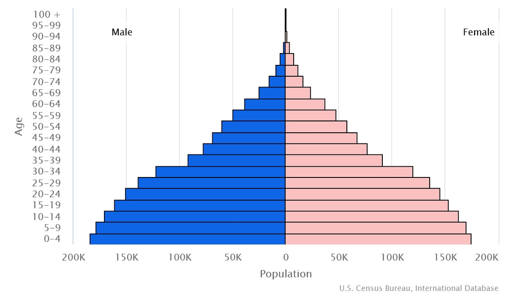 2023 population pyramid