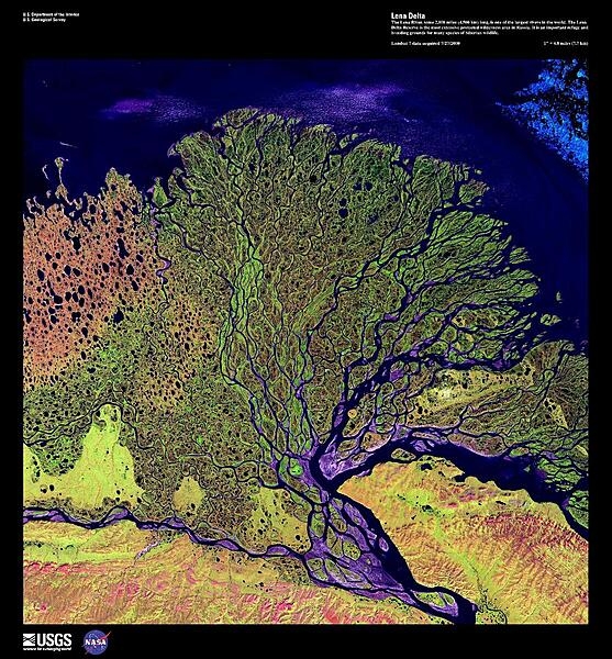 The Lena River, some 4,500 km (2,800 mi) long, is one of the longest rivers in the world. The Lena Delta Reserve, shown in this enhanced satellite photo, is the most extensive protected wilderness area in Russia; it serves as an important refuge and breeding ground for many species of Siberian wildlife. The wave-dominated delta of the Lena River is 30,000 sq km (11,580 sq mi) making it one of the largest of its kind in the world. Image courtesy of USGS.