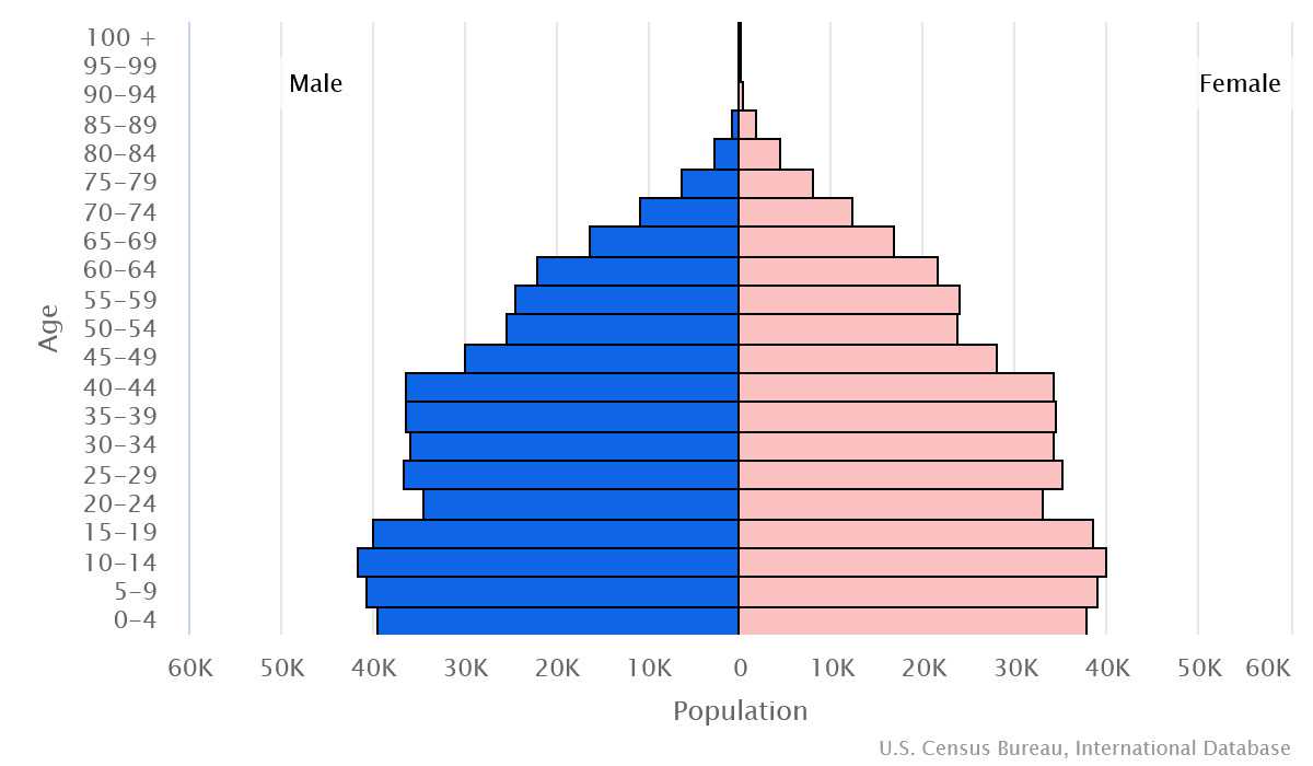 2023 population pyramid