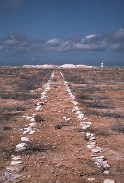 Remains of a guano tramway on Jarvis Island, with late-19th century heaps of mined but never-shipped guano in the background near the day beacon. Image courtesy of USFWS.