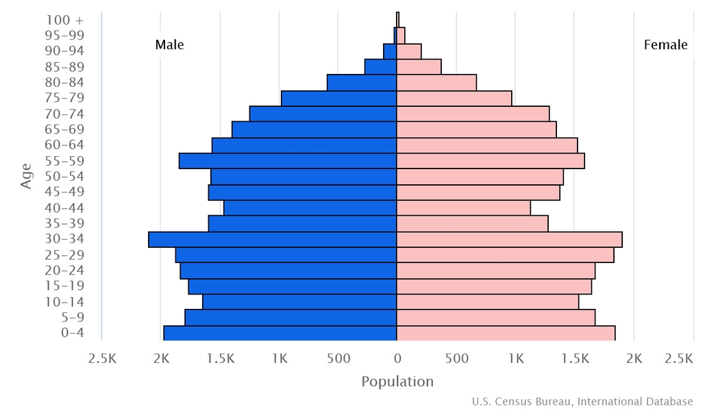 2023 population pyramid